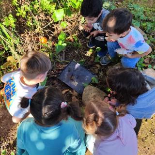 Espai Infantil Hort I Animals 3