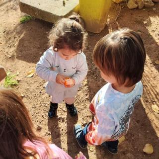 Espai Infantil Hort I Animals