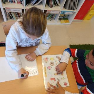 Img 3 Copy