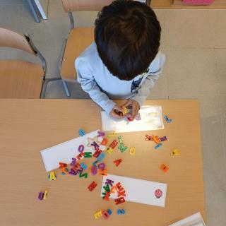 Img 6 Copy